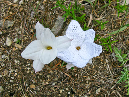 Rain Lily - Crochet Fiber Art
