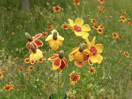 Mexican Hat Wildflower Pottery